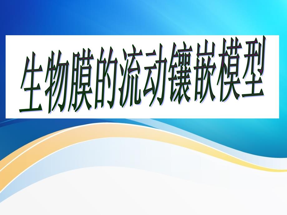 自己制作生物膜的流动镶嵌模型自己制作1获市一等奖_第2页