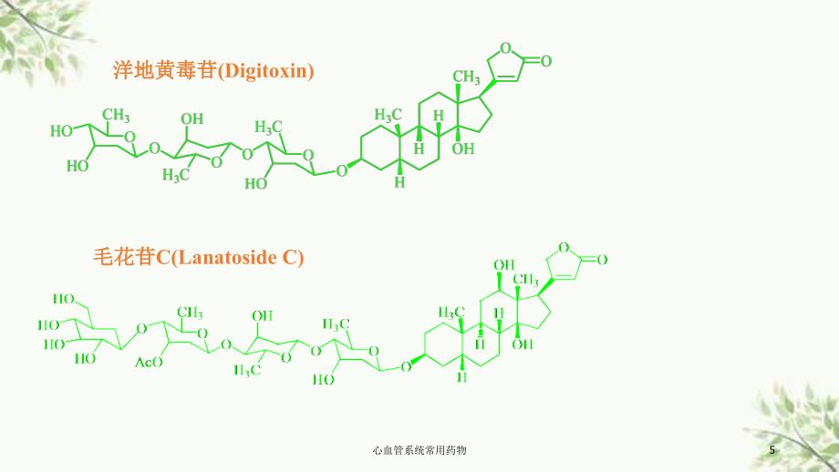 心血管系统常用药物课件_第5页