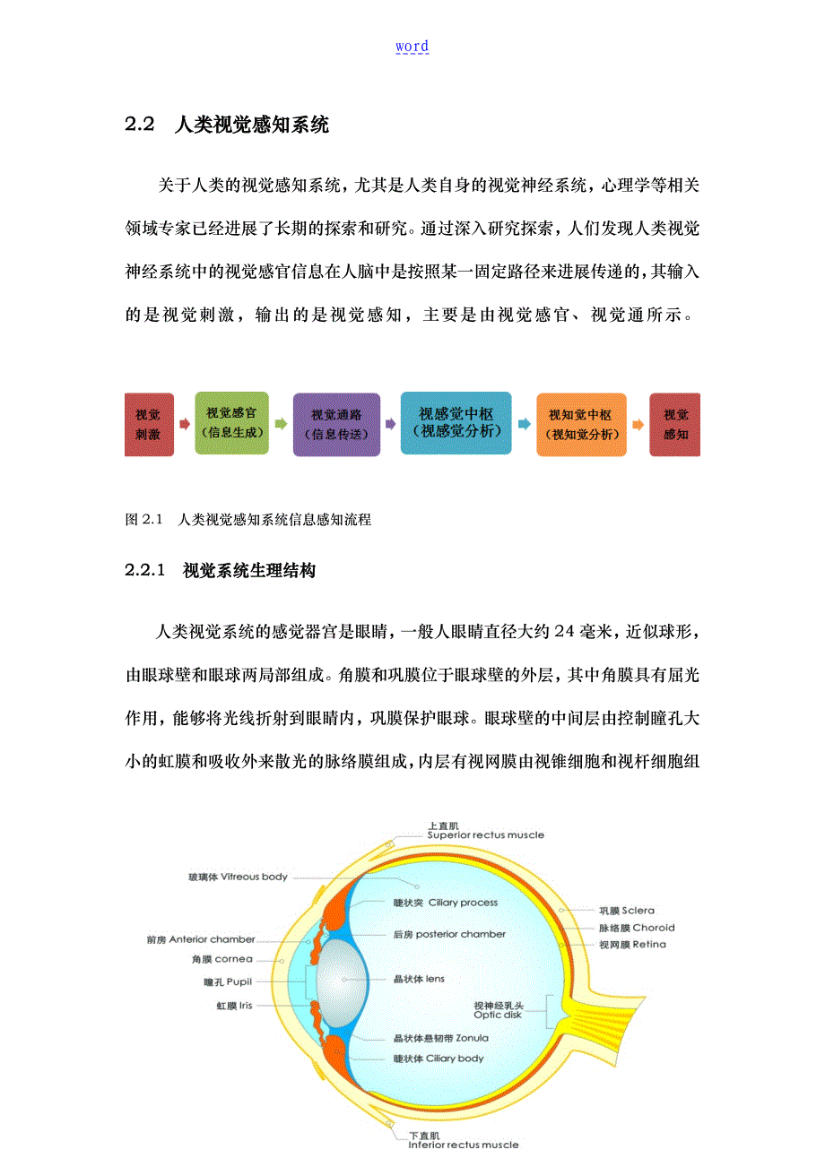 视觉注意机制理论分析报告_第2页