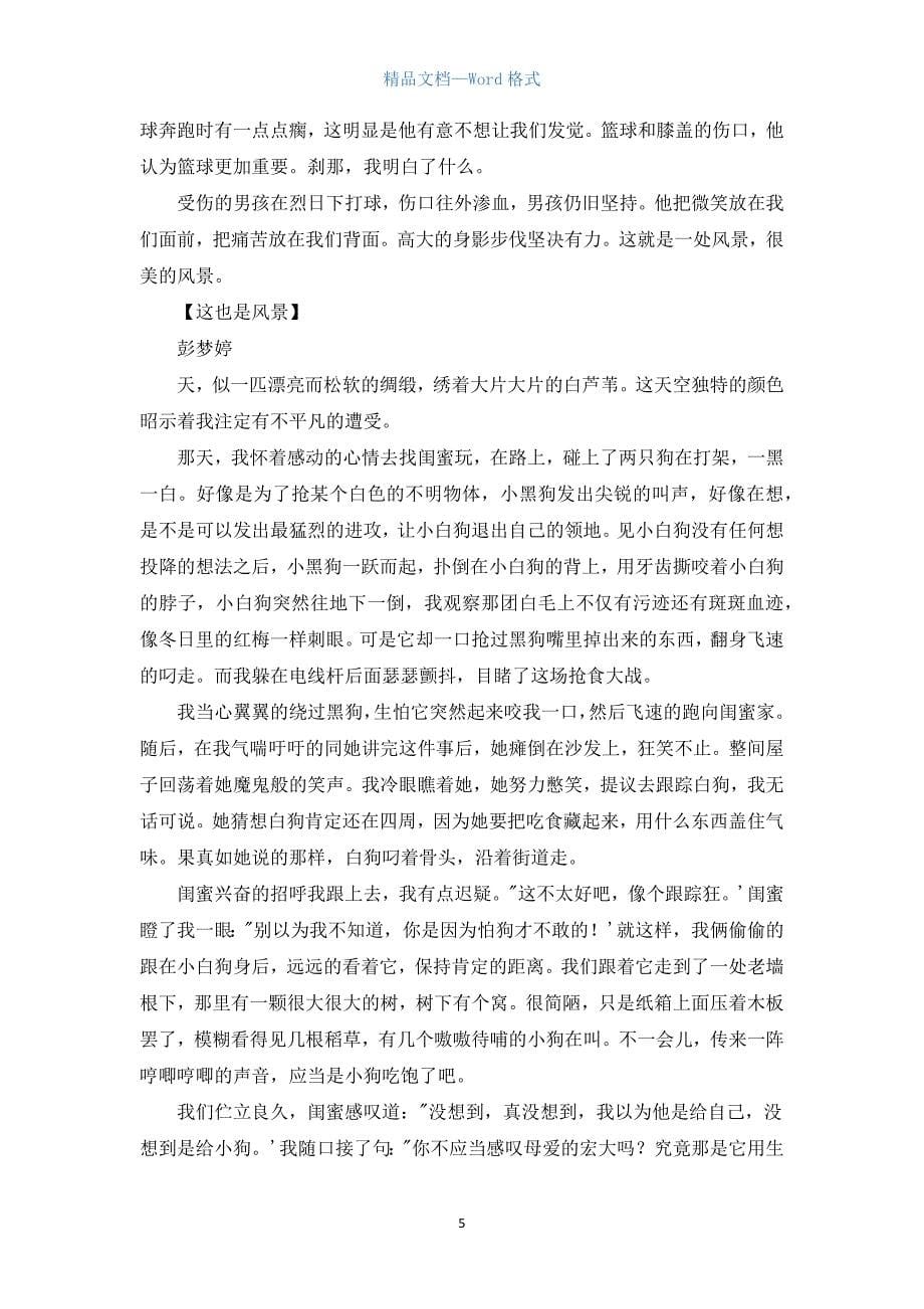 这也是一道风景作文600字.docx_第5页