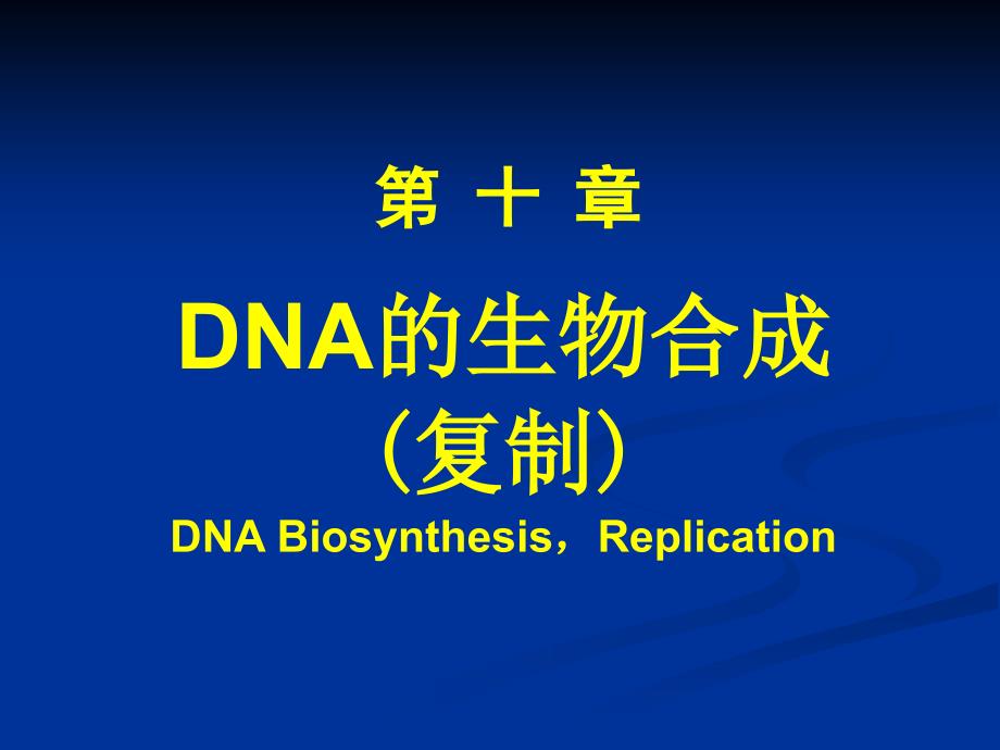 DNA的生物合成_第1页