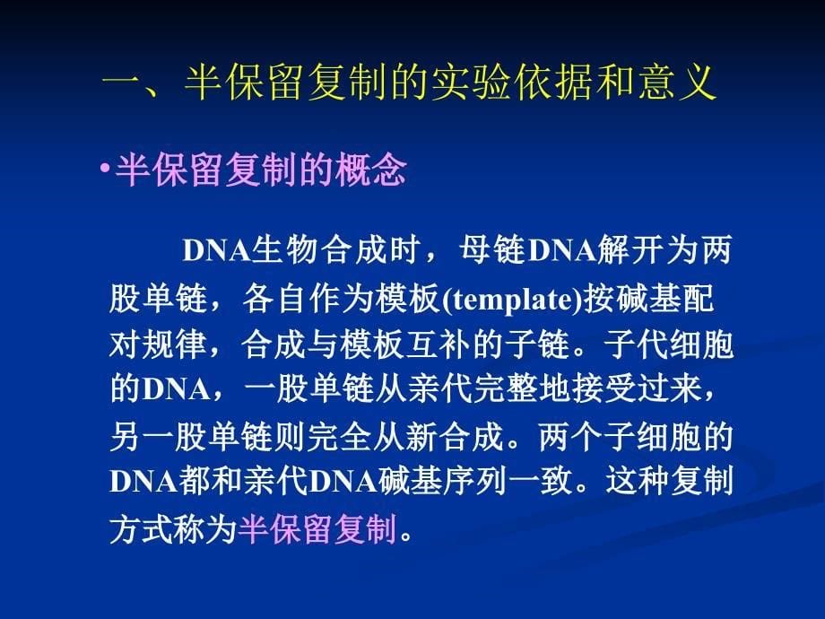 DNA的生物合成_第5页