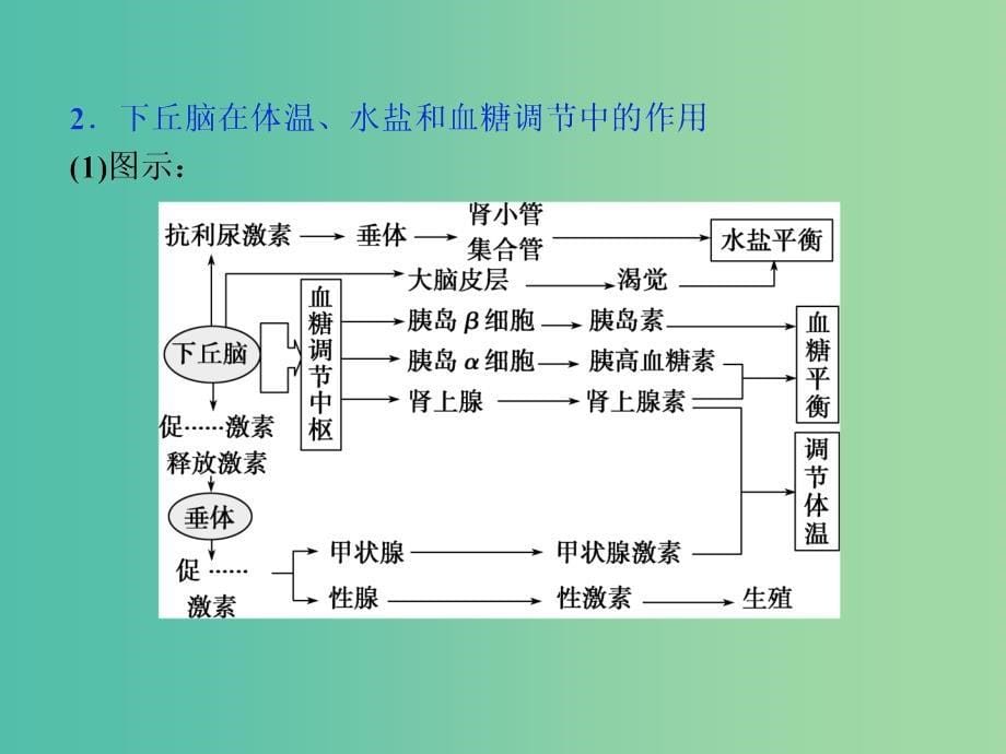 （浙江专用）高考生物二轮复习 专题五 生命活动的调节 第3讲 人体的稳态和免疫课件.ppt_第5页