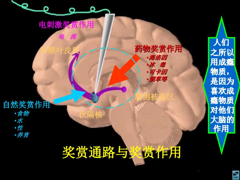 中学无烟校园主题班会PPT课件_第4页