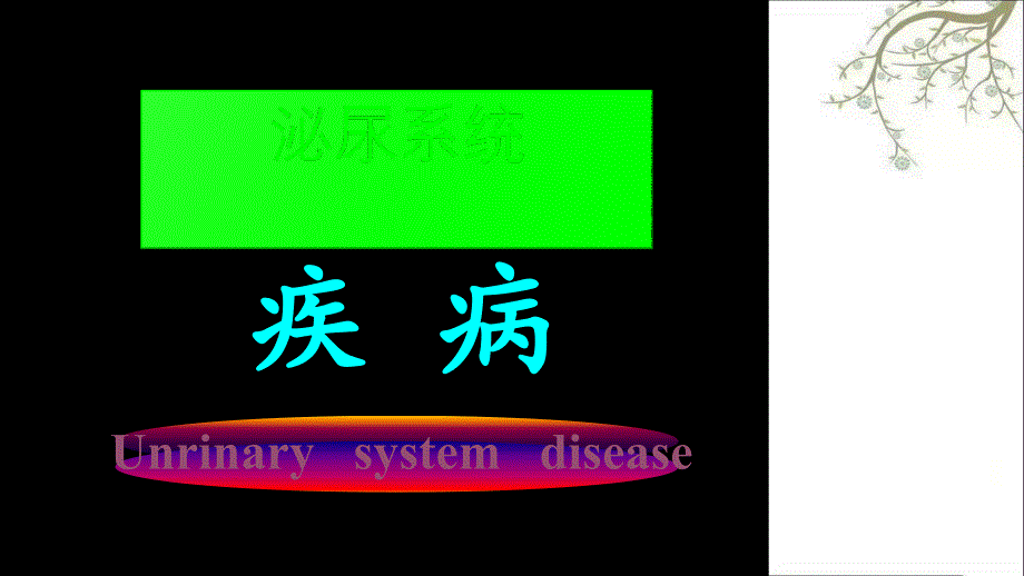 小儿泌尿疾病3合1专业分析年轻父母必备_第1页