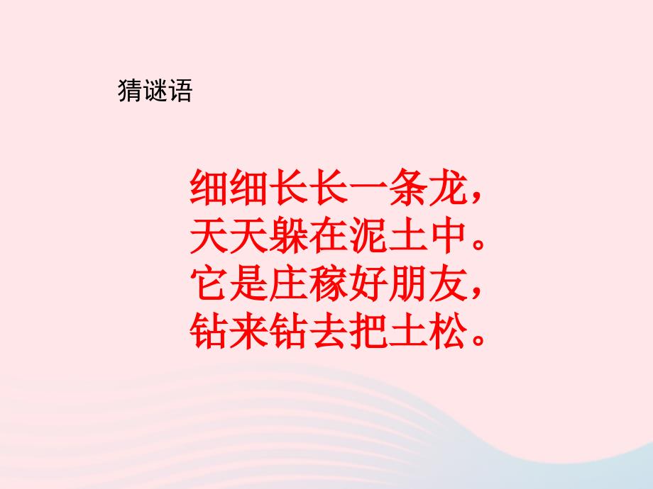 最新三年级科学上册第4课蚯蚓课件3冀教版冀教版小学三年级上册自然科学课件_第1页