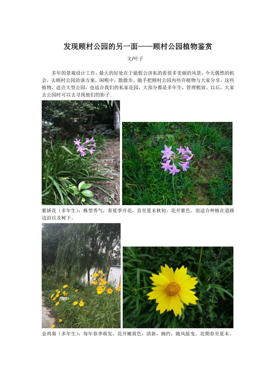 花园管家上海顾村公园植物鉴赏.docx_第1页