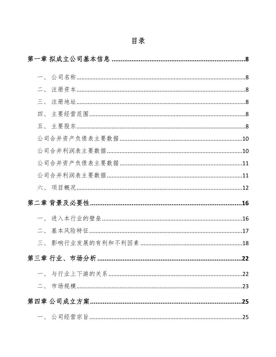 江津区关于成立发电机组公司可行性研究报告_第2页