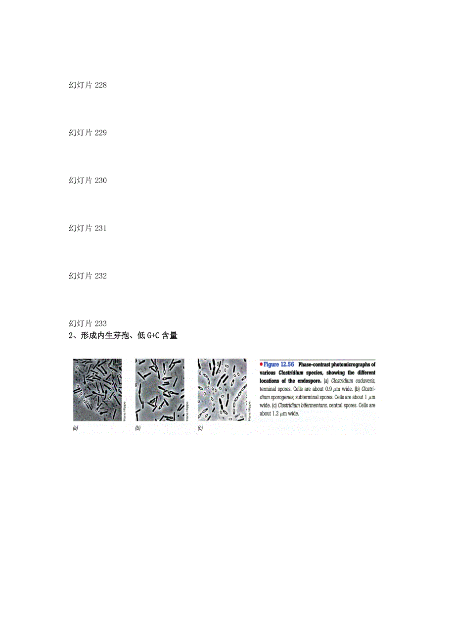 原核微生物(5).doc_第2页