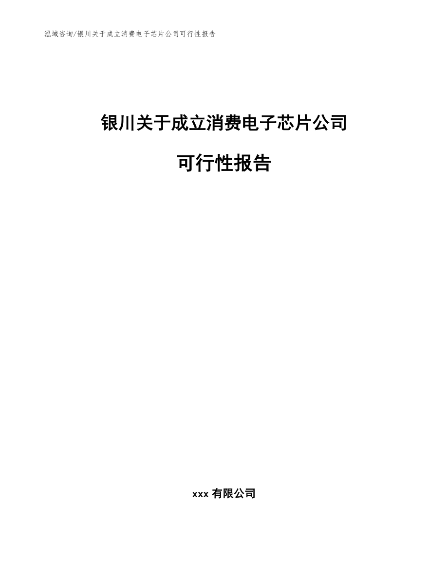 银川关于成立消费电子芯片公司可行性报告模板范本_第1页
