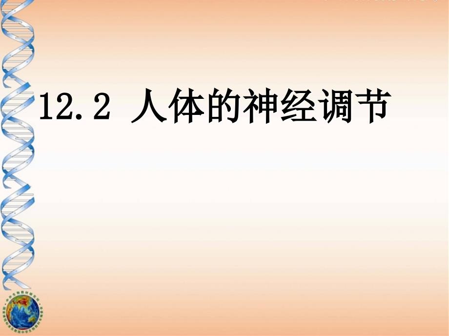 苏教版七年级下册生物12.2-人体的神经调节ppt课件_第2页