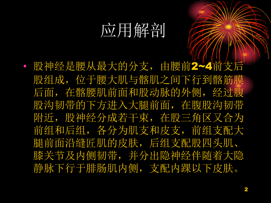 股神经阻滞麻醉PPT参考幻灯片_第2页