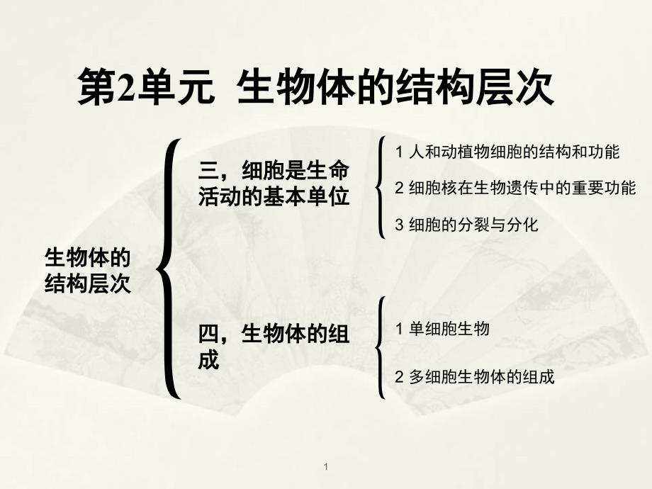 苏教版七年级上册生物期末复习第二单元PPT课件_第1页