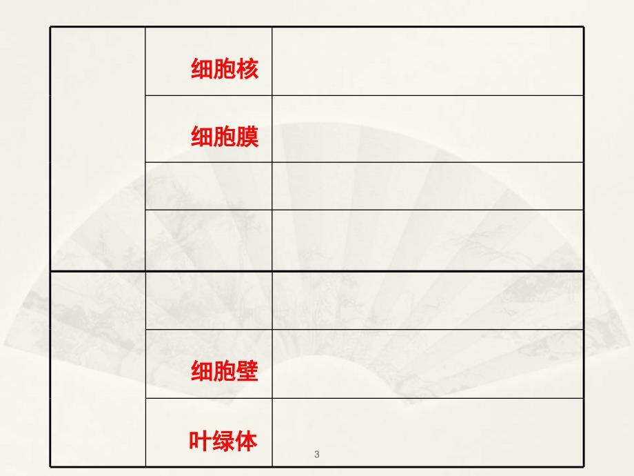 苏教版七年级上册生物期末复习第二单元PPT课件_第3页