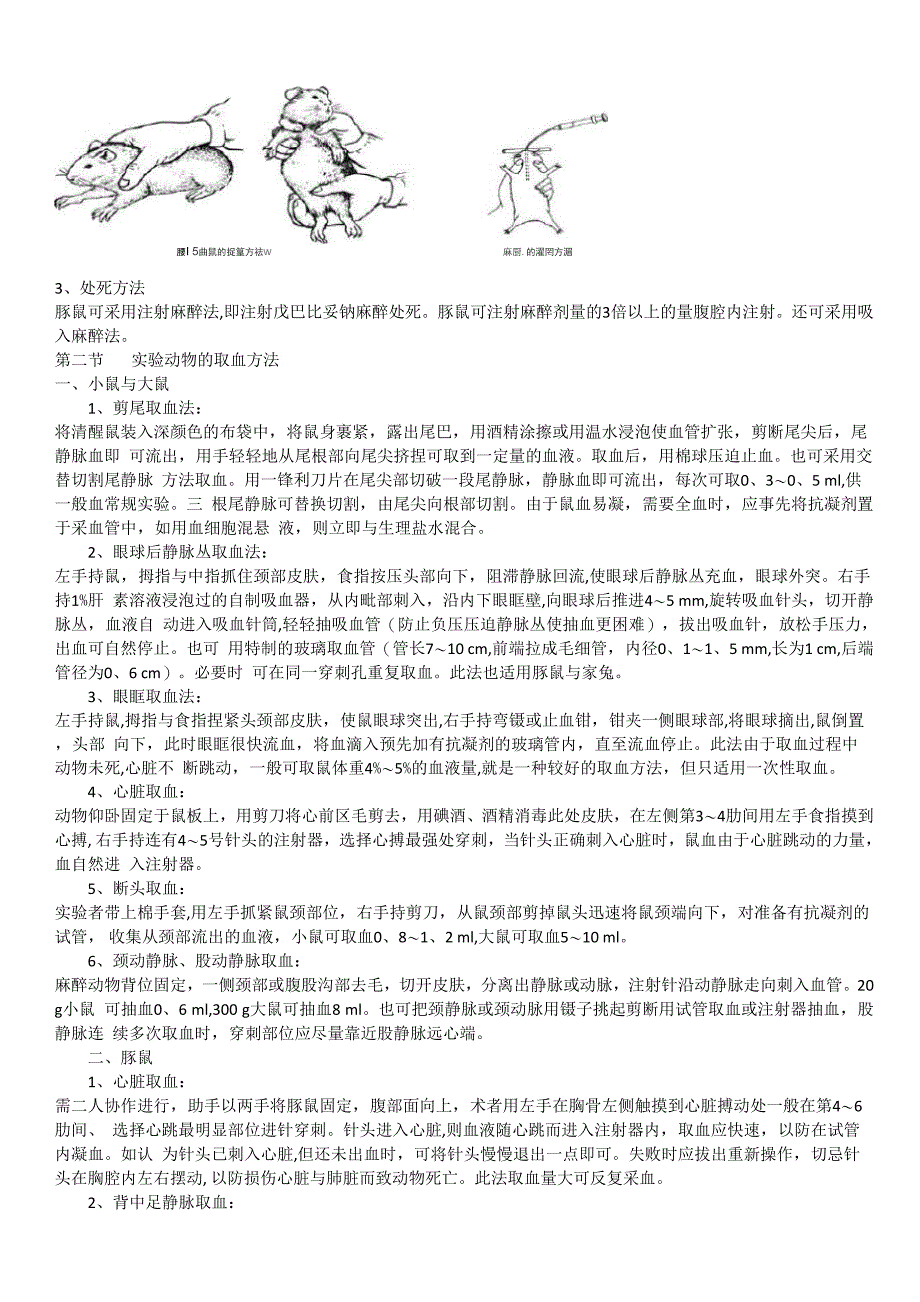 小鼠实验操作_第3页