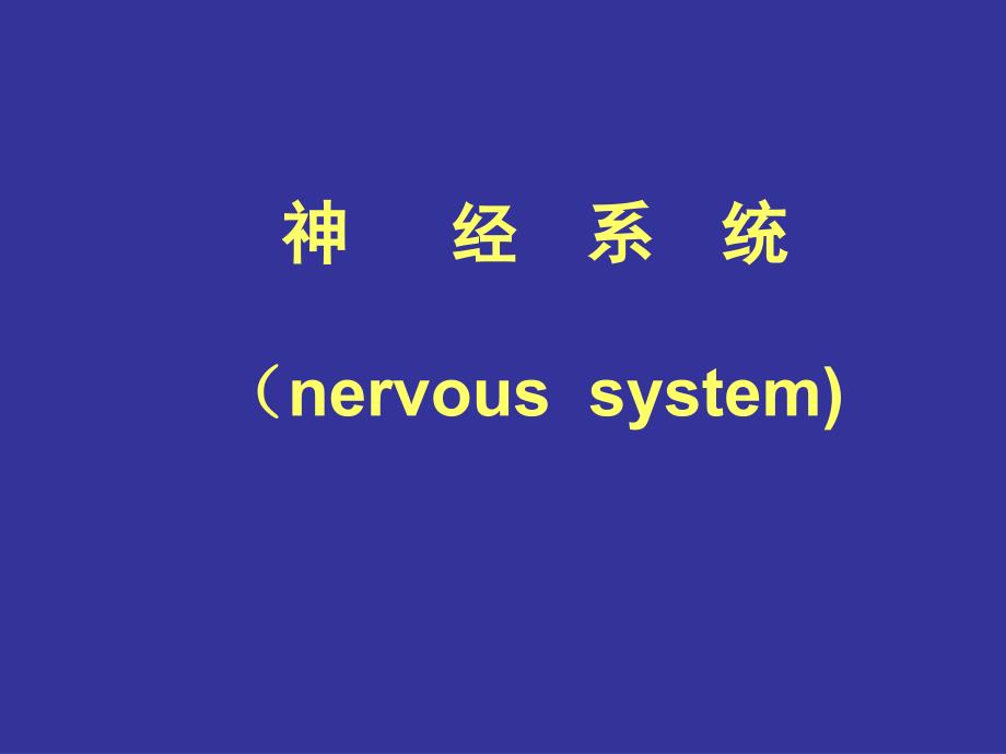 《人体组织学与解剖学》教学课件：神经系统1_第1页