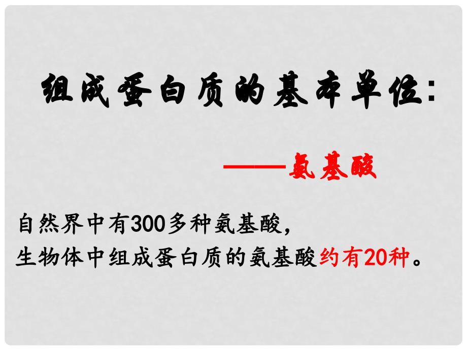 高中生物 第二章 组成细胞的分子 2.2 生命活动的主要承担者蛋白质课件2 新人教版必修1_第2页