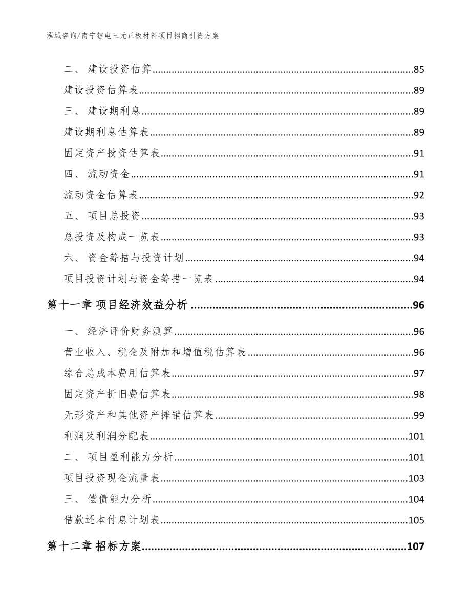 南宁锂电三元正极材料项目招商引资方案范文参考_第5页