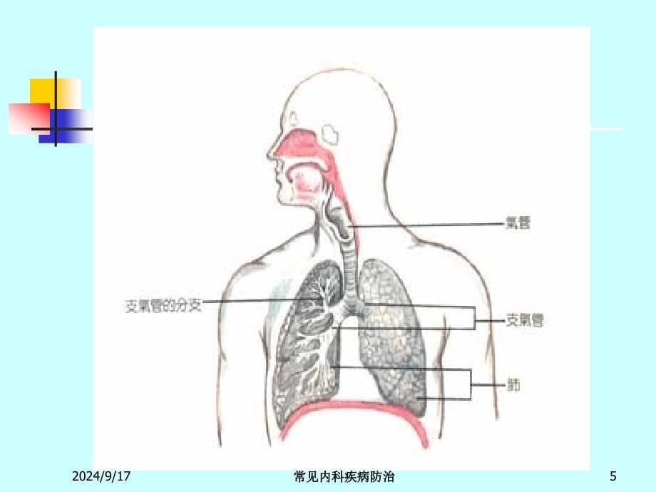 常见内科疾病防治培训课件_第5页