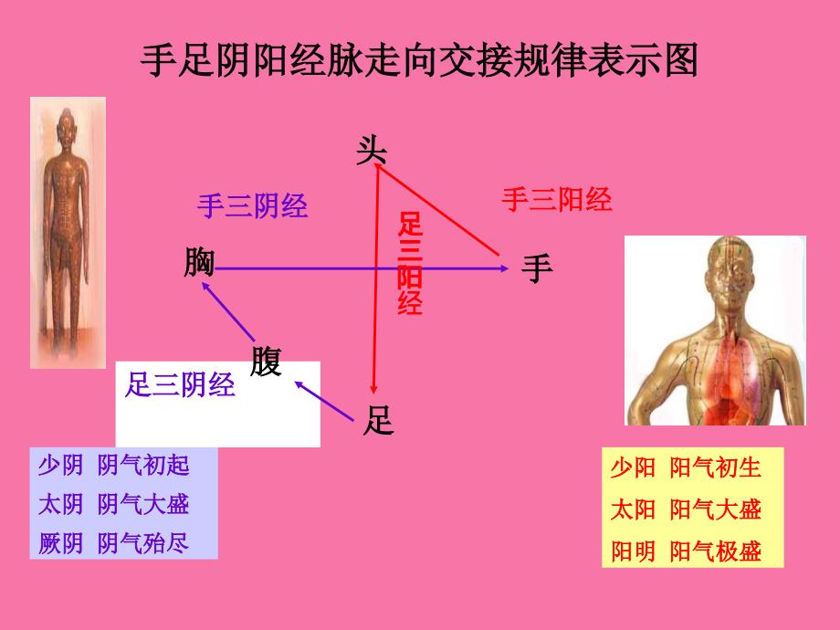 中医经络养生ppt课件_第4页