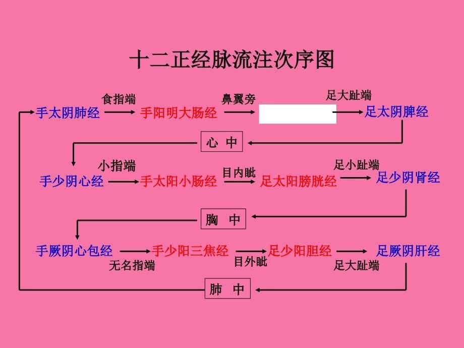 中医经络养生ppt课件_第5页