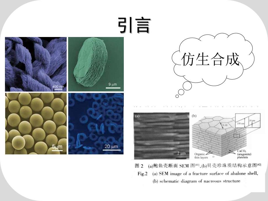 羟基磷灰石的合成_第3页