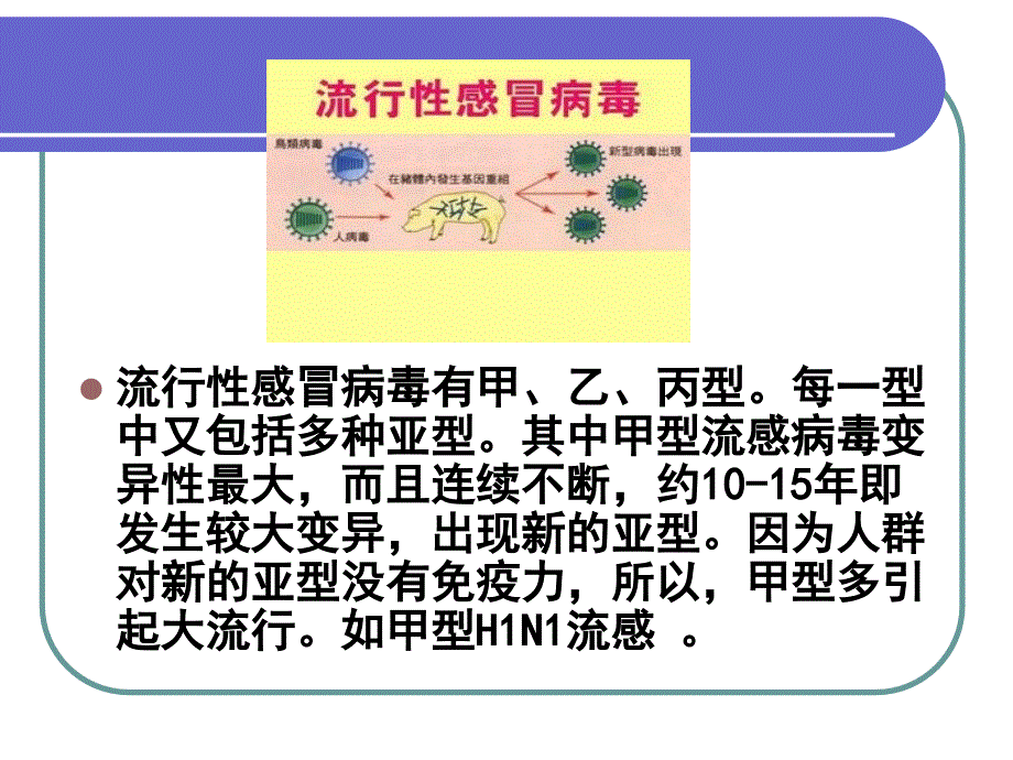 夏季常见疾病的预防_第3页