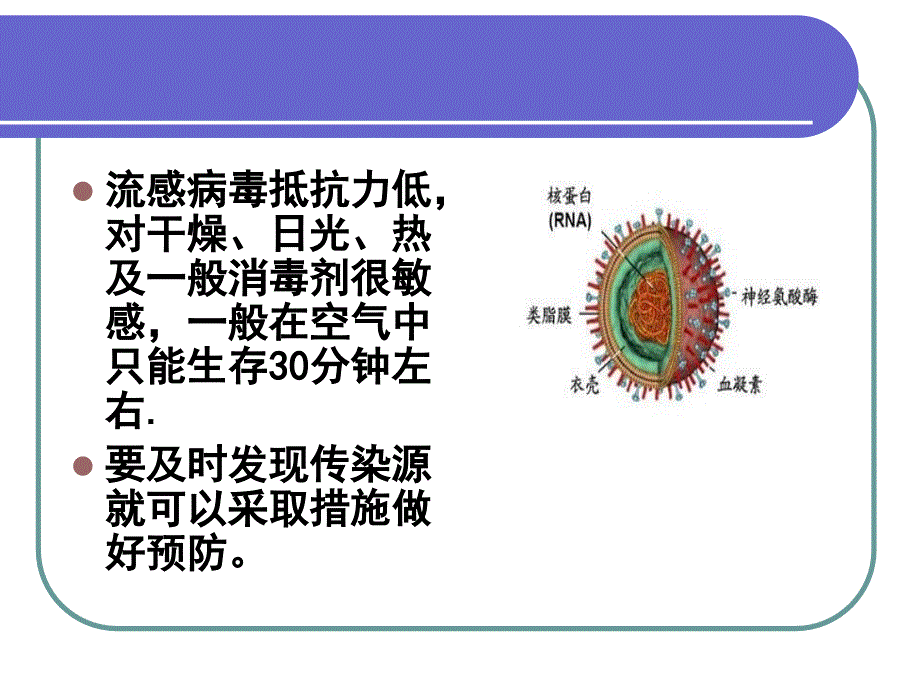 夏季常见疾病的预防_第4页