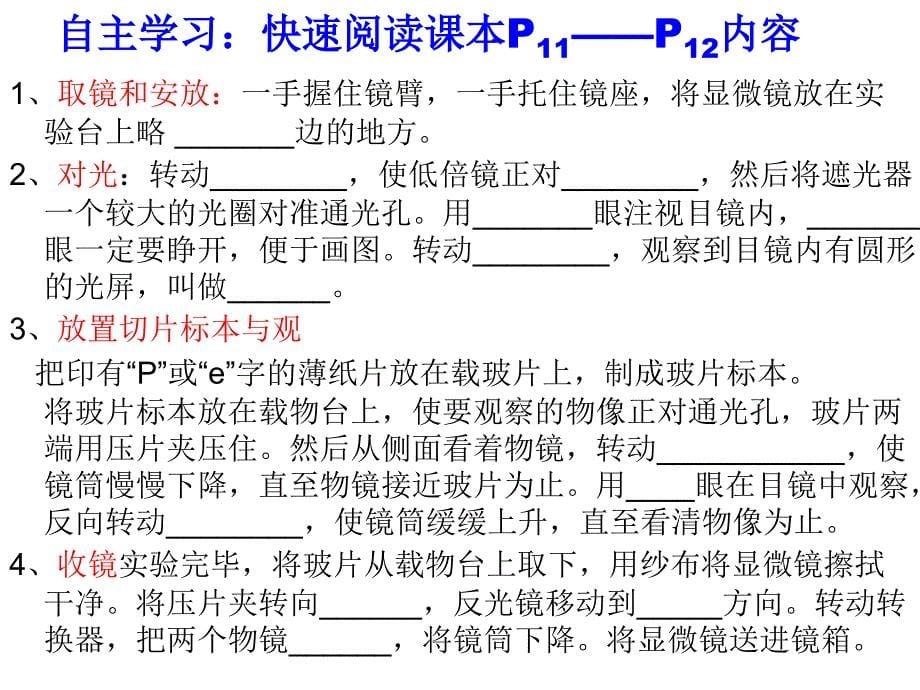 学习使用显微镜教学_第5页