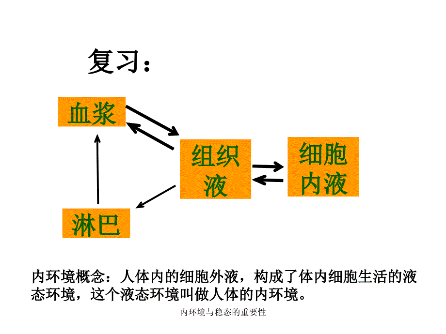 内环境与稳态的重要性课件_第2页