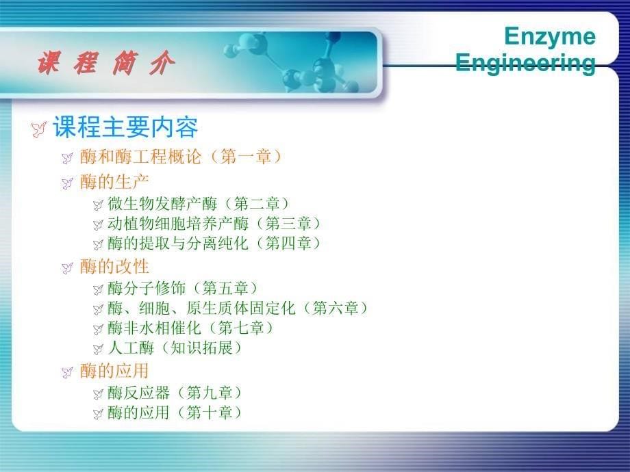 工学酶工程01酶和酶工程概论_第5页