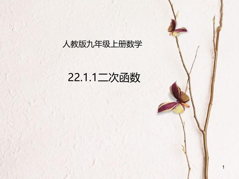 九年级数学上册 22.1.1 二次函数课件 （新版）新人教版[共14页]_第1页