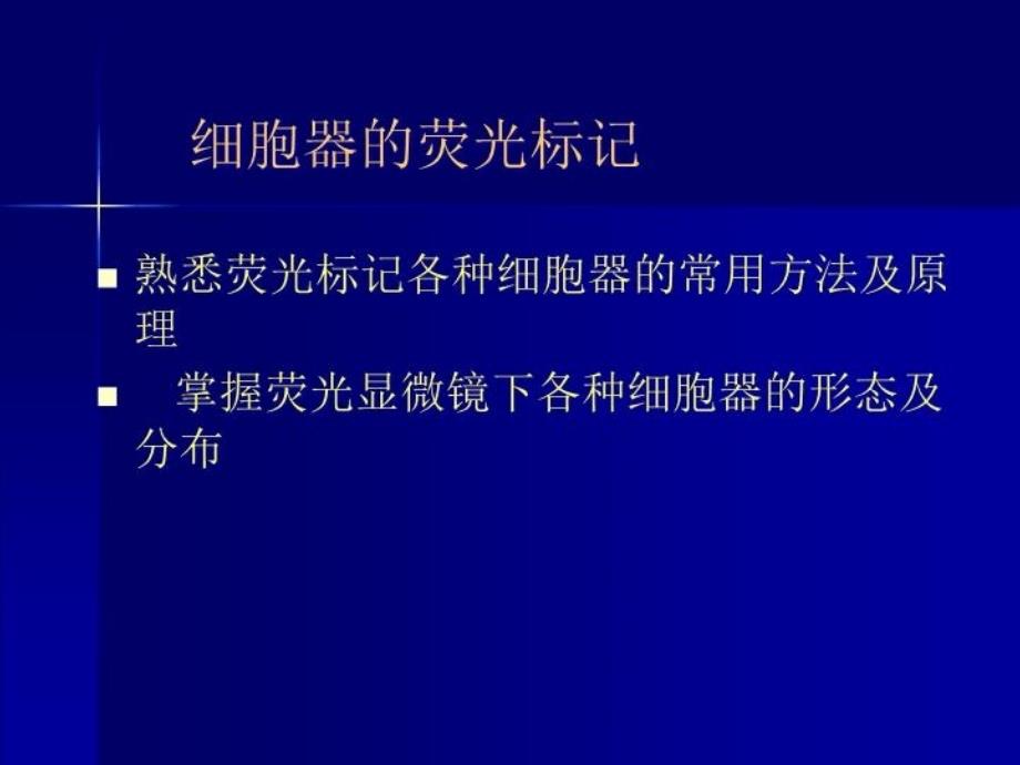 荧光显示细胞器和细胞凋亡共27页课件_第2页