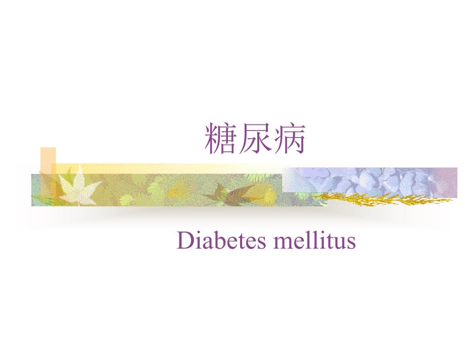 糖尿病(diabetes(精)_第1页