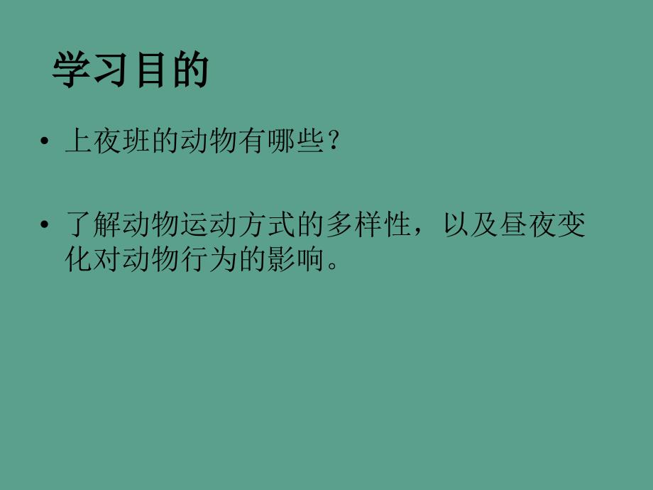 三年级上册科学4.1上夜班的动物1大象版ppt课件_第2页