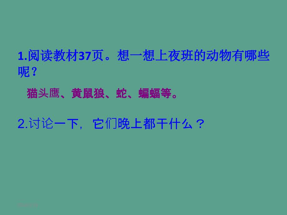 三年级上册科学4.1上夜班的动物1大象版ppt课件_第4页