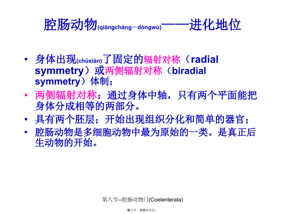 第六节--腔肠动物门(Coelenterata)课件_第2页