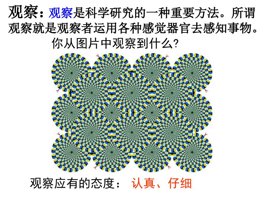 浙教版七年级上册科学第一章第三节科学观察共26张PPT_第4页