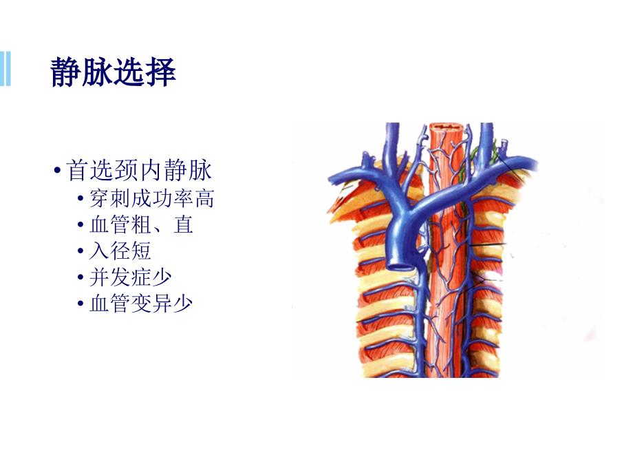 port植入常见问题及处理ppt参考课件_第4页