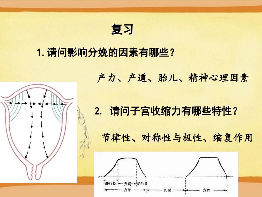 正常分娩分娩机制PPT课件_第2页