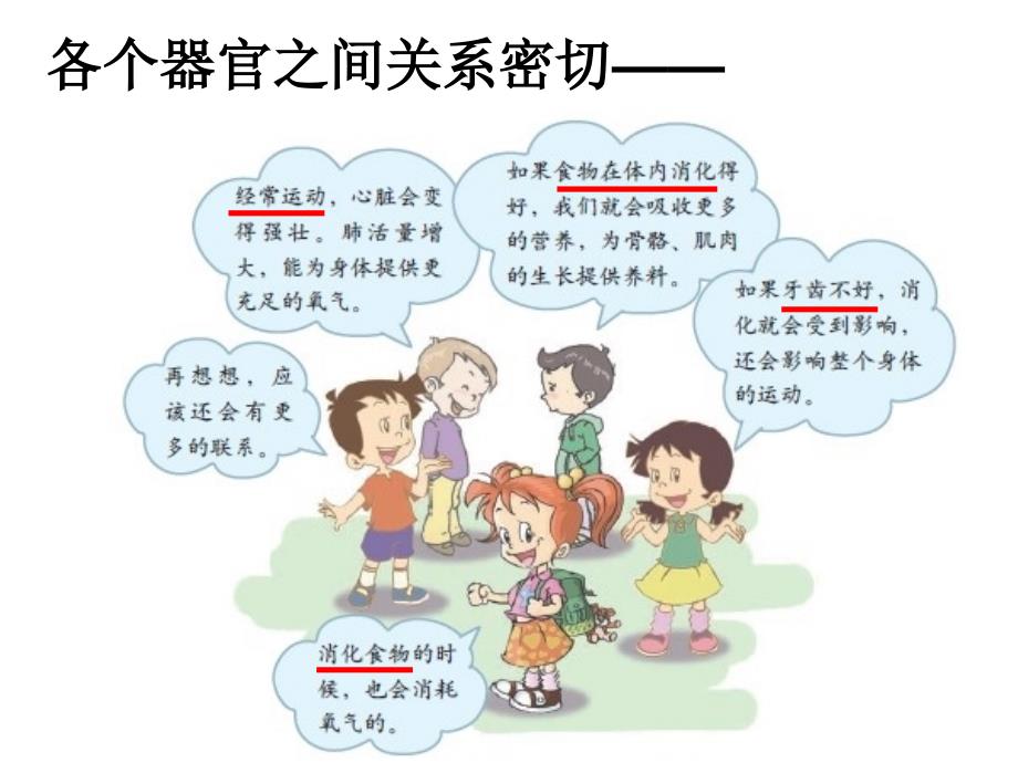 四年级科学上册相互协作的人体器官课件._第3页