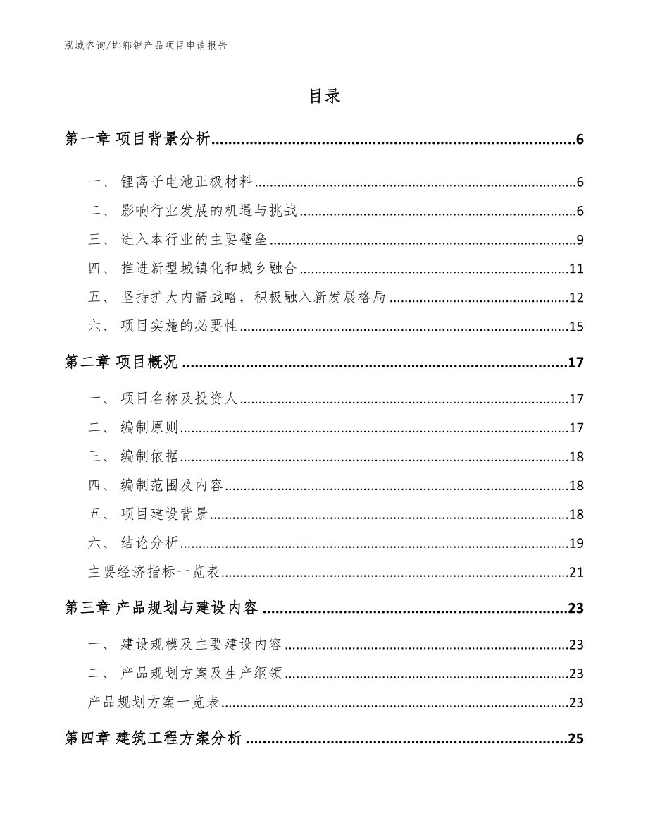 邯郸锂产品项目申请报告_第1页