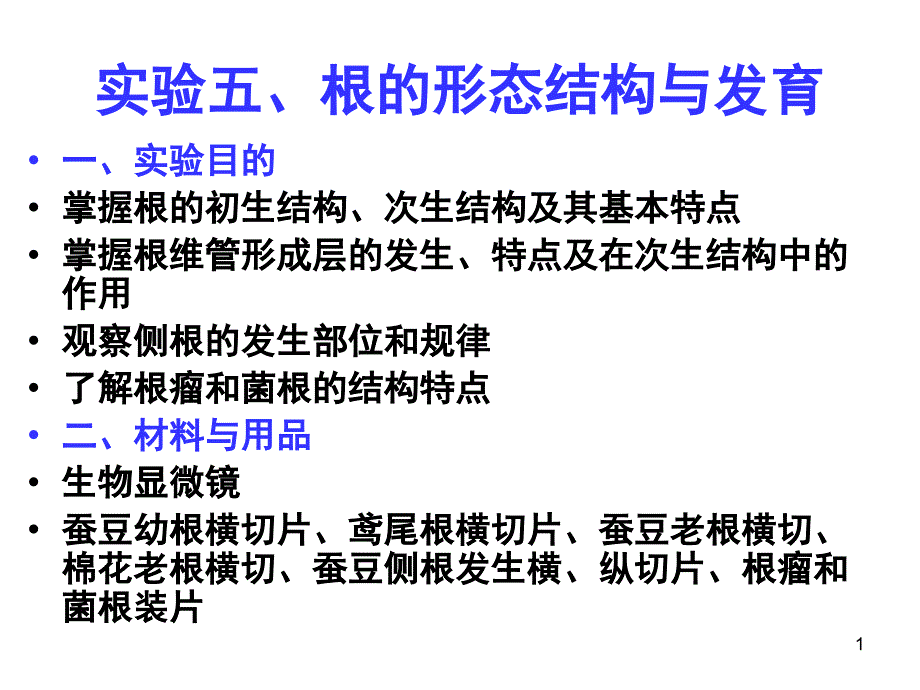 实验六根的形态结构与发育_第1页