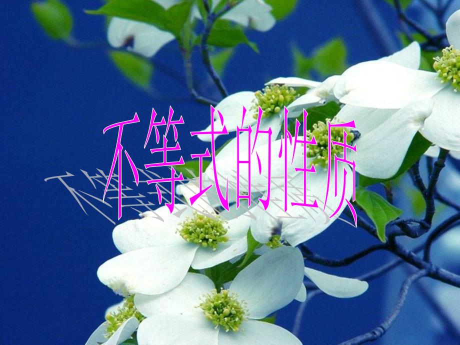 不等式的性质_第1页