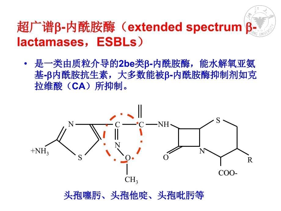 产ESBLs肠杆菌科细菌感染的治疗PPT课件_第5页