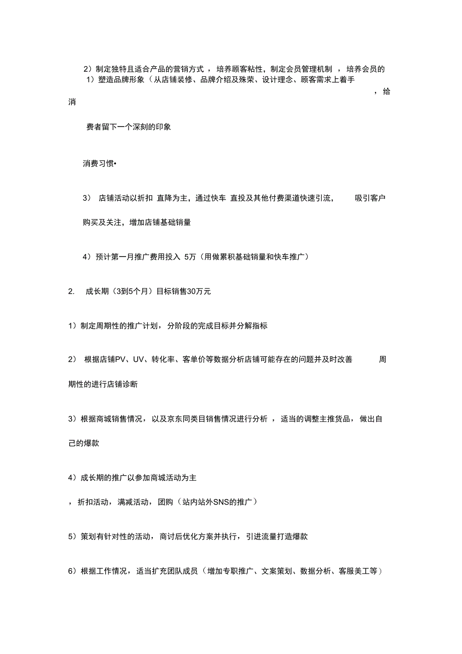 (完整word版)京东店铺运营方案_第2页