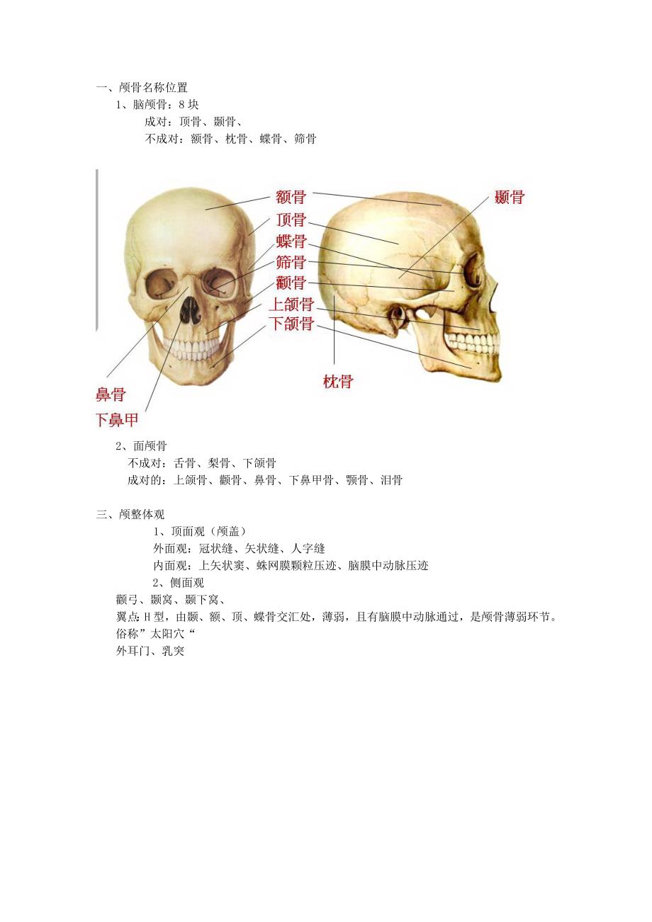 颅骨连接及新生儿颅骨特点.doc_第1页