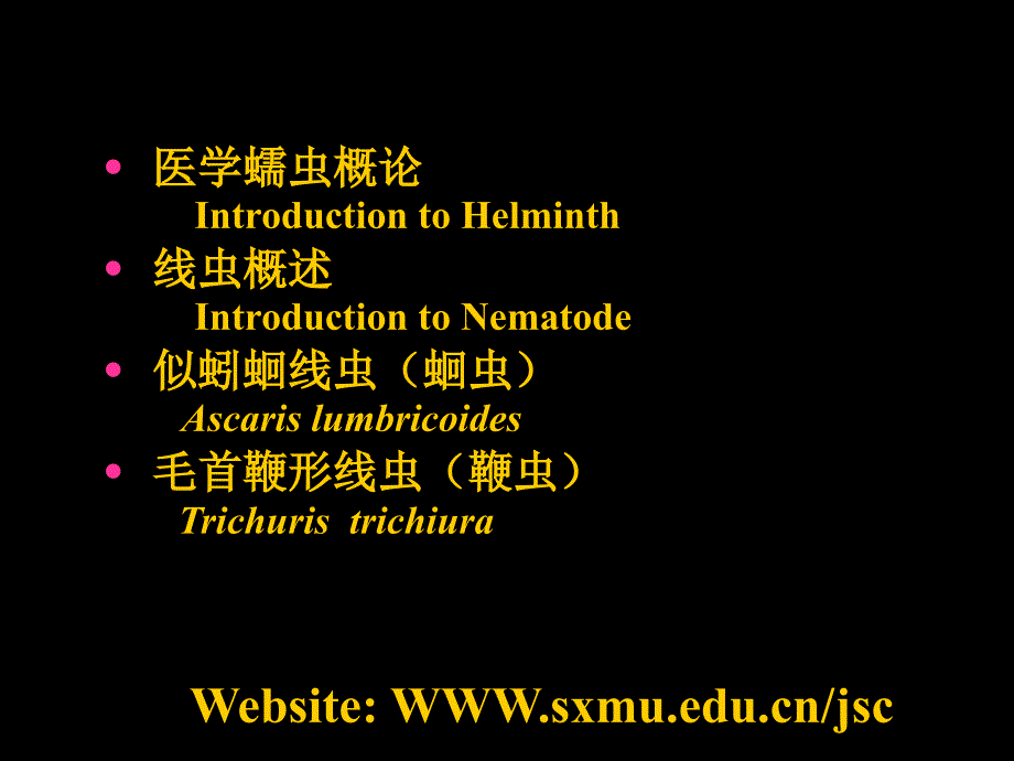 医学寄生虫学课件：2 蠕线概论蛔鞭_第2页