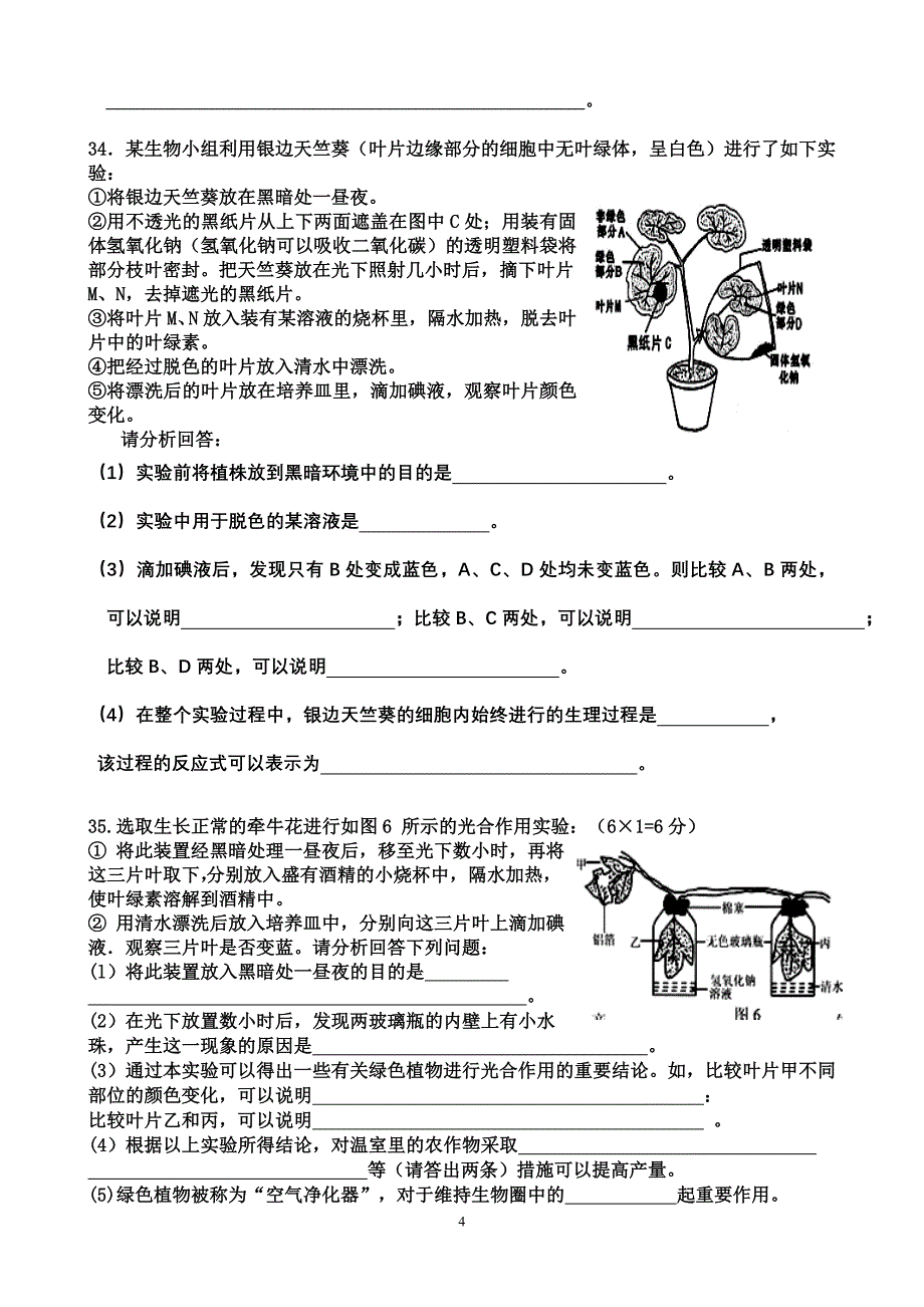 第三单元生物圈中的绿色植物（3-6章）_第4页