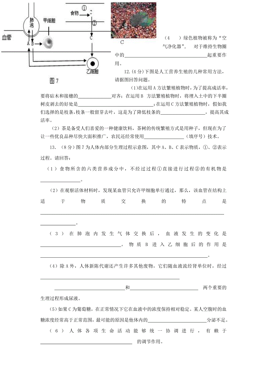 湖北省恩施州利川市生物中考模拟试题_第3页